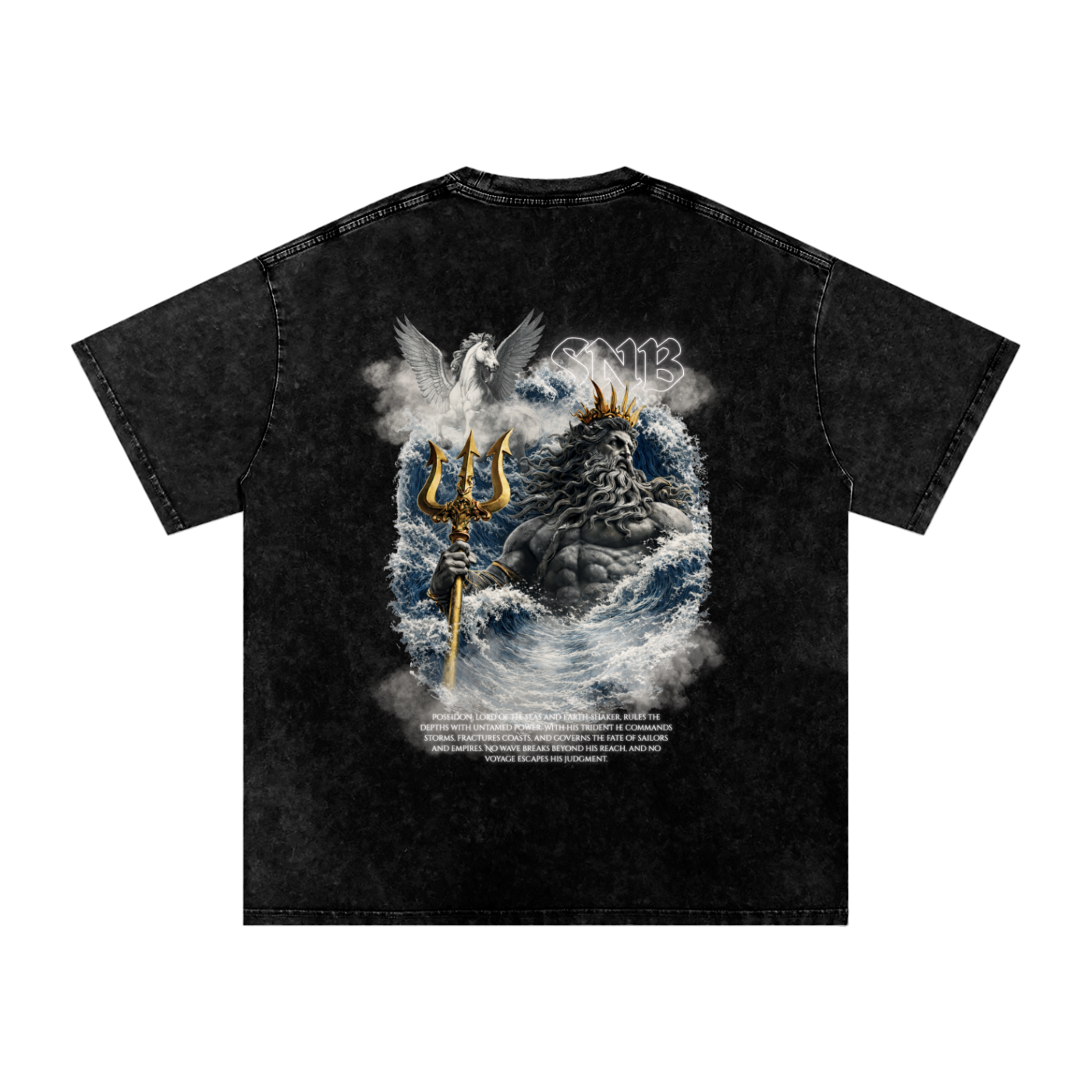 POSEIDON SNOW WASH OVERSIZED T