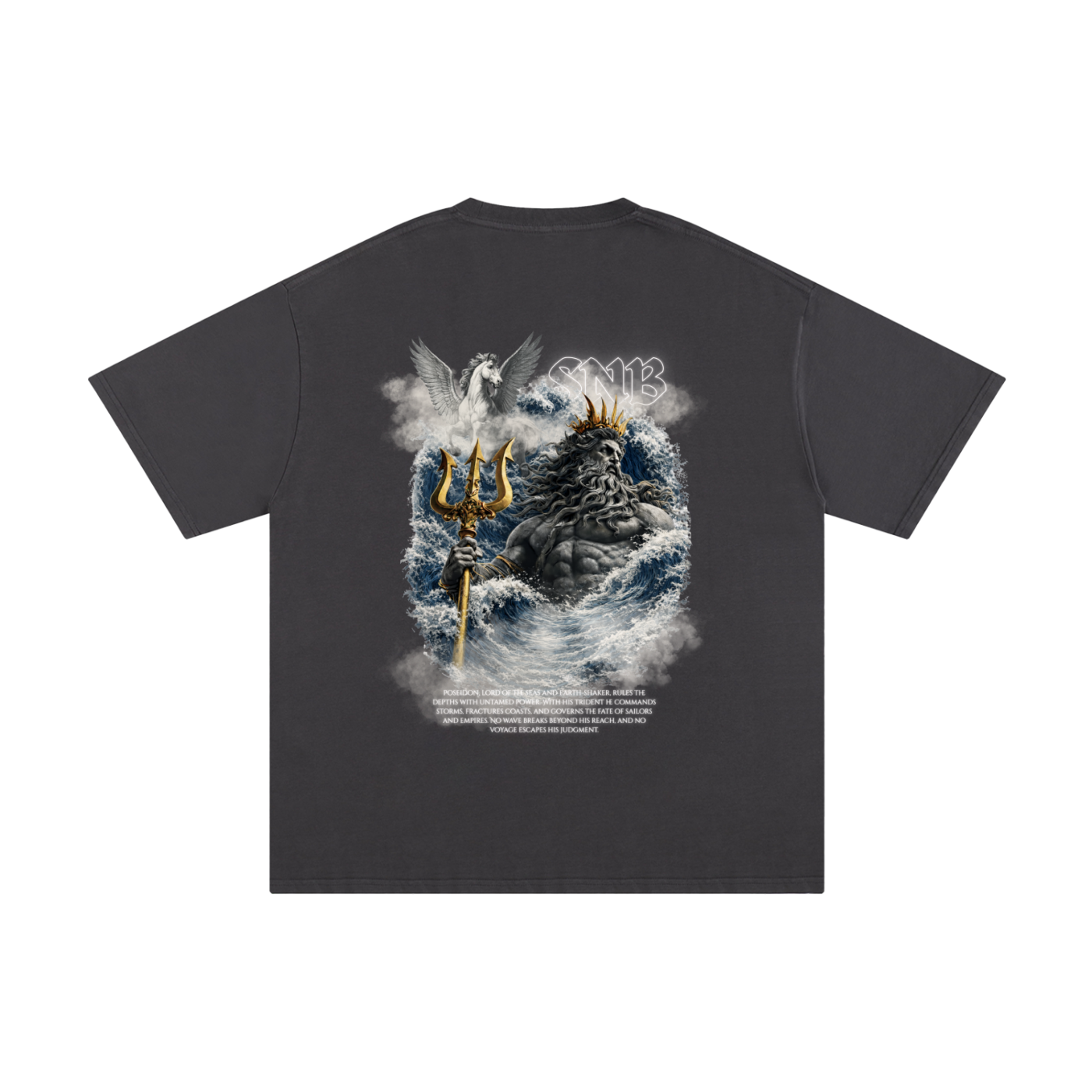 POSEIDON SOLID OVERSIZED T