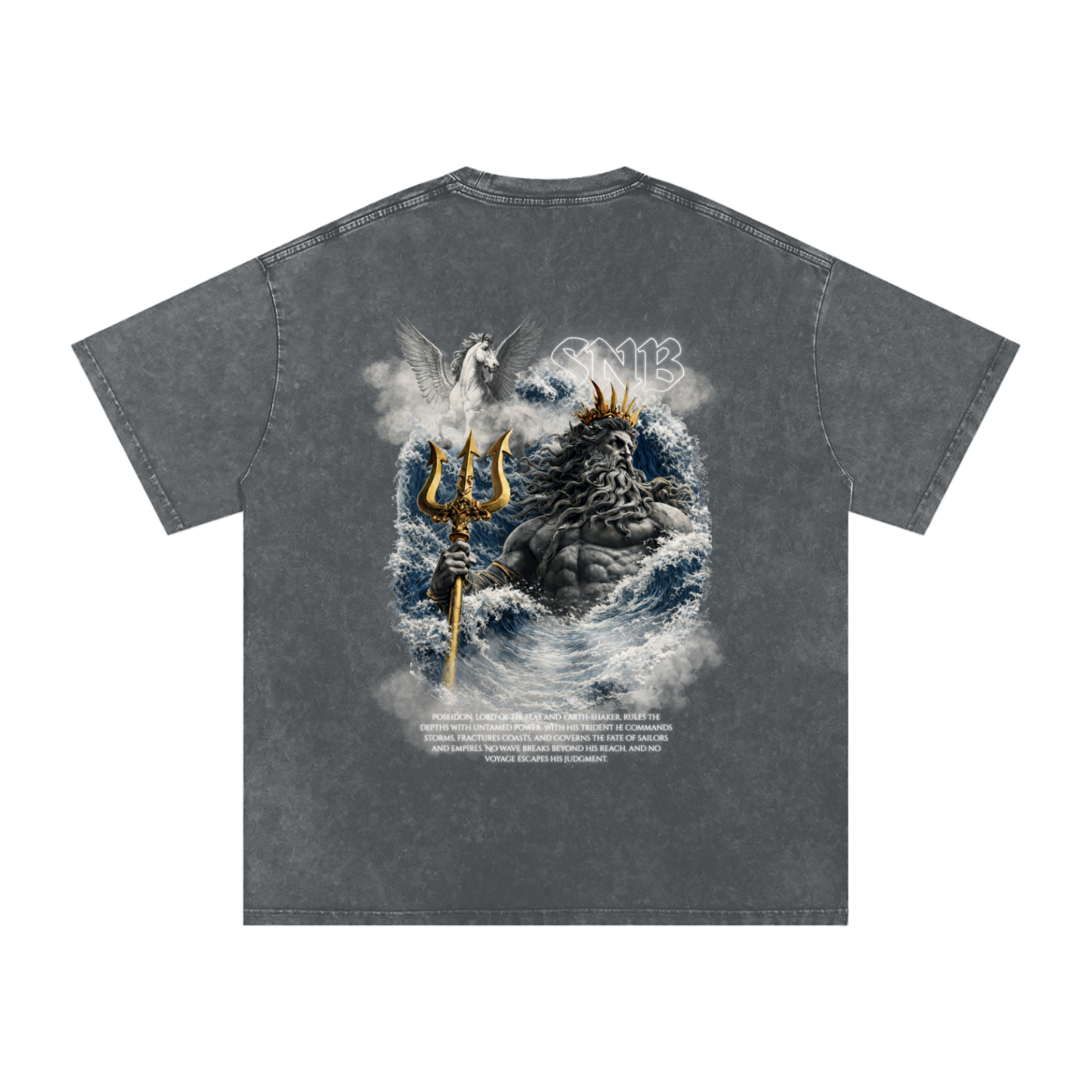 POSEIDON SNOW WASH OVERSIZED T