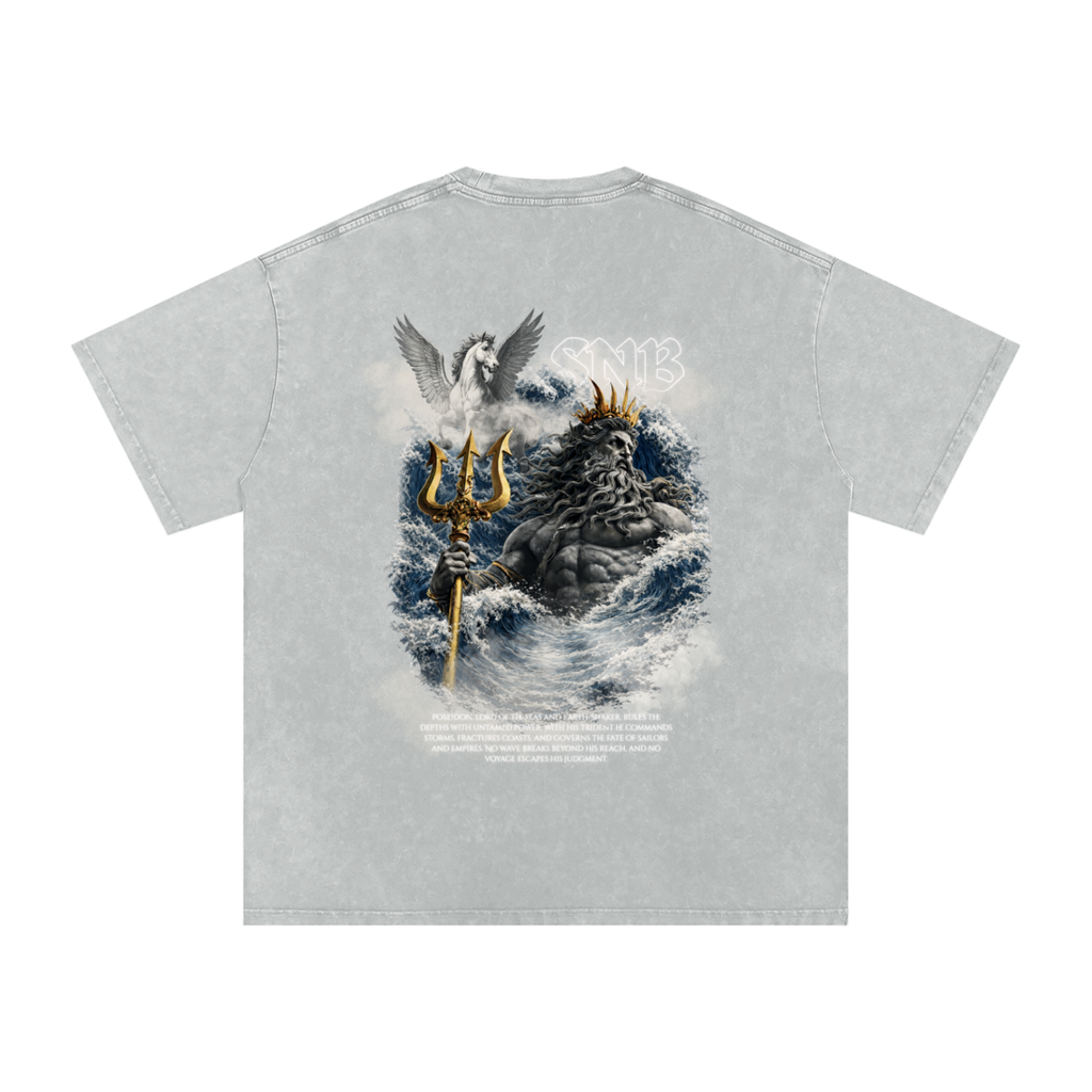POSEIDON SNOW WASH OVERSIZED T