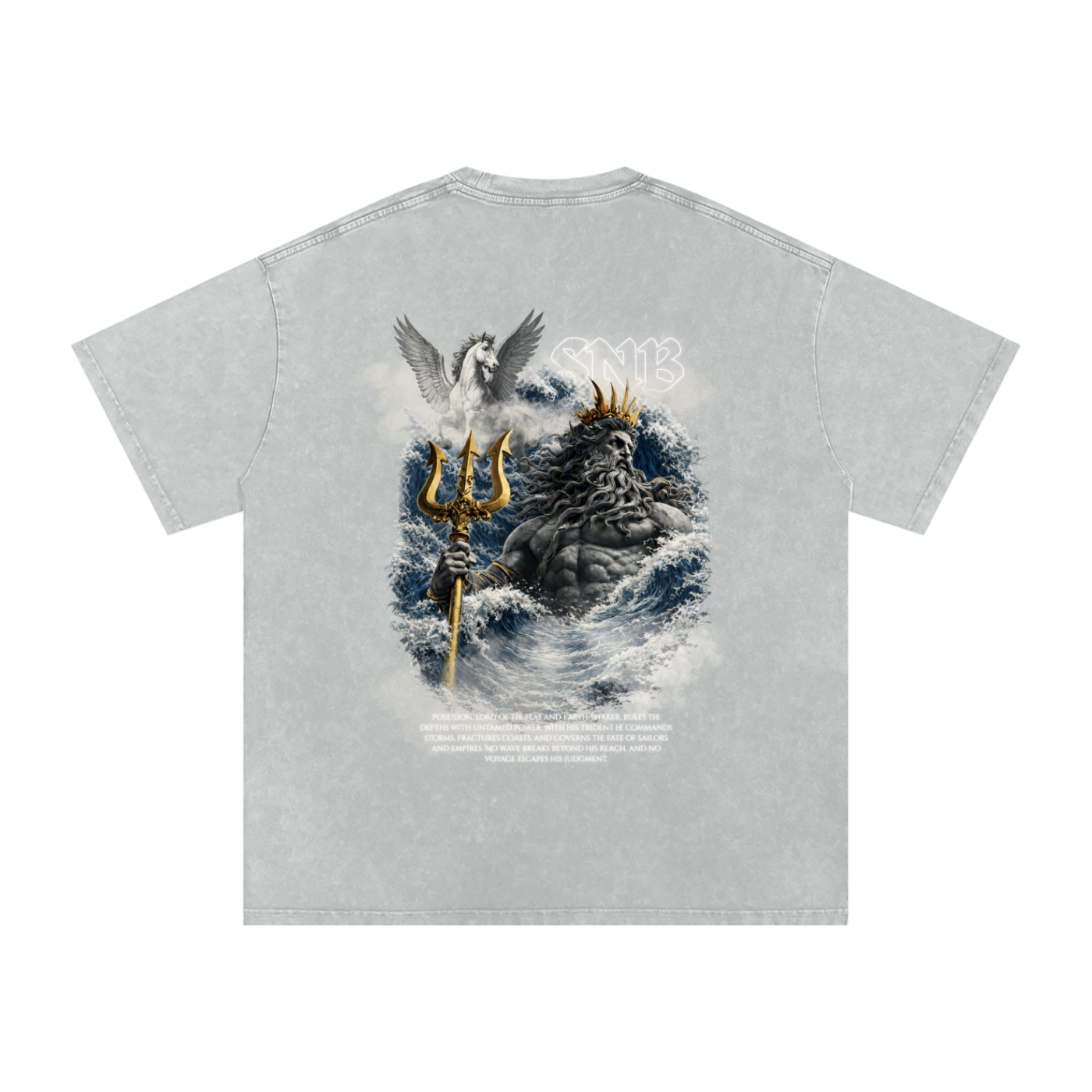 POSEIDON SNOW WASH OVERSIZED T
